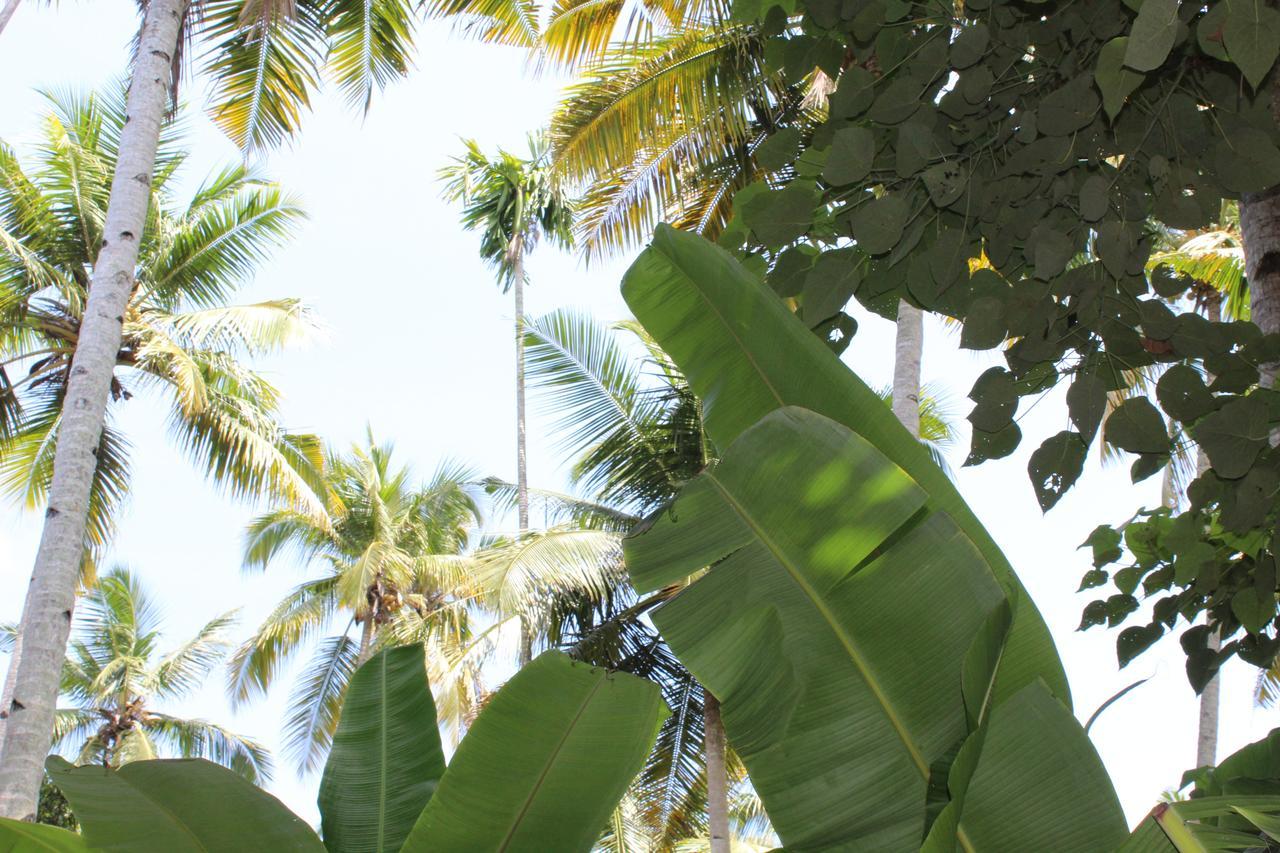The Exotic Marigold Hotel Varkala Exterior foto